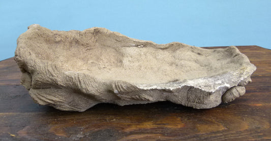 Informal Unglazed Bonsai Pot - Kurama Pot 12" - Used