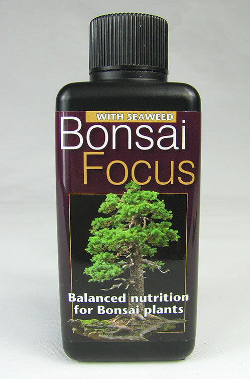fertilizing bonsai plants Bonsai Focus Balanced Bonsai Fertilizer – Kaizen Bonsai