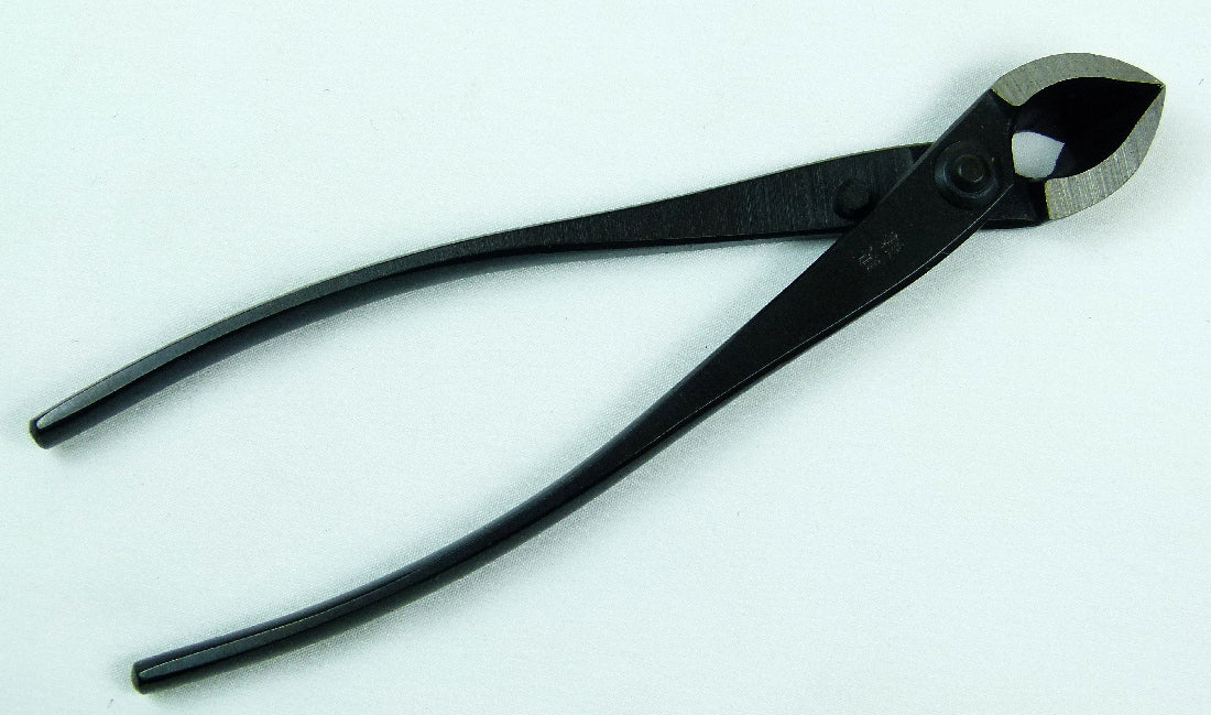 Kaneshin Small Bonsai Branch Cutter - Straight Blade - 1S – Kaizen Bonsai