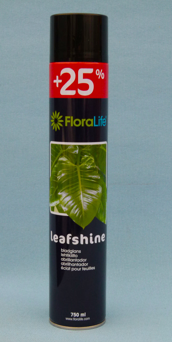 house plant leaf shine Leaf Shine For Bonsai Trees & House Plants