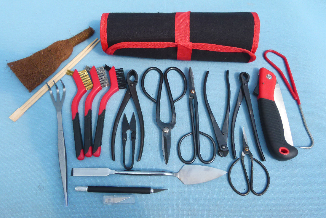 bonsai tree pruning kit 18 Piece Essentials Bonsai Tool Kit – Kaizen Bonsai