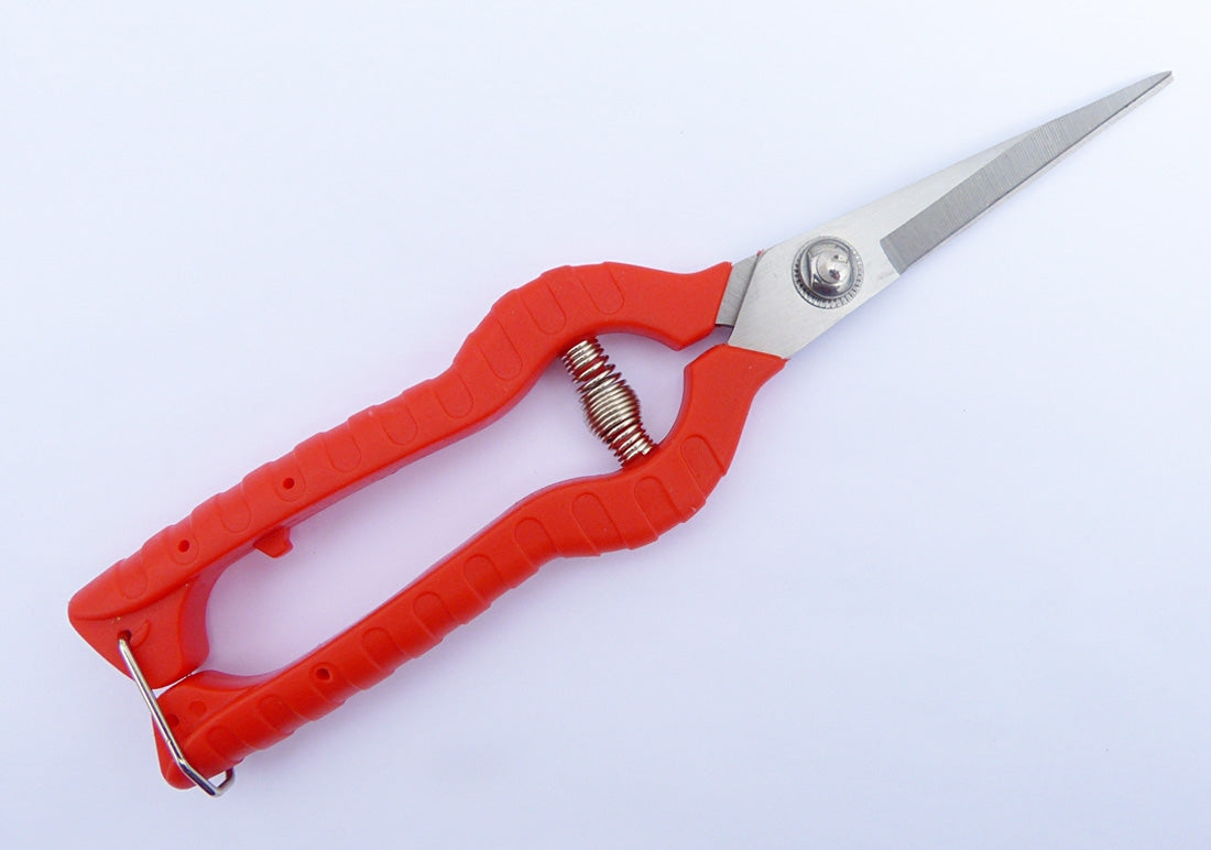 bonsai tree pruning shears Bonsai Pruning Scissors - Vine Scissors
