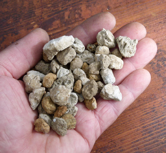 Pumice 7-13mm Coarse Horticultural Media - Bonsai Succulent Plant Alpine Soil