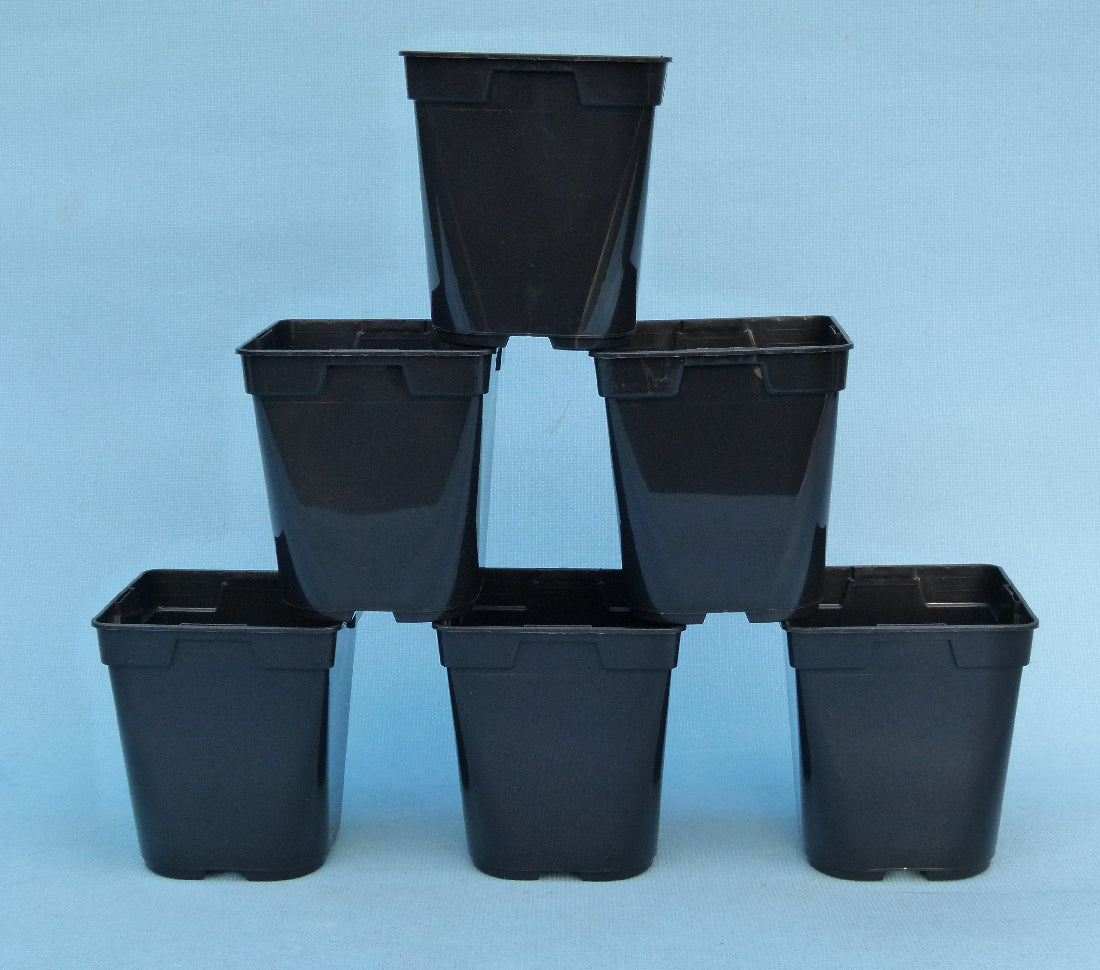 plastic plant starter pots Square Plastic Nursery Pots 1 Litre - Bonsai Starter Pots