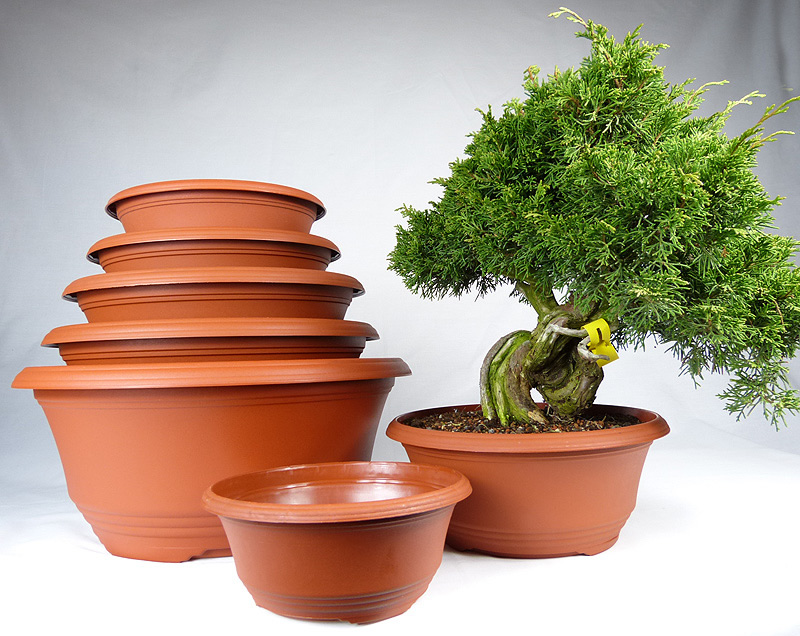 Plastic Pots for Bonsai Nursery Stock