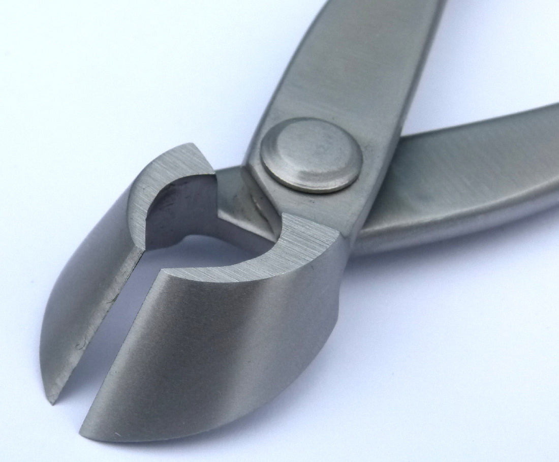 Bonsai Branch Cutter - Small - Stainless Steel Bonsai Tools - Blades