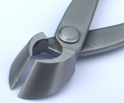 Bonsai Branch Cutter - Small - Stainless Steel Bonsai Tools - Blades