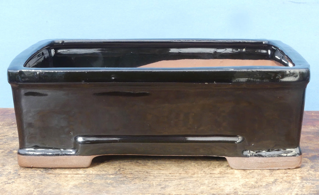 Black Glazed Rectangle Bonsai Pot - 8" 