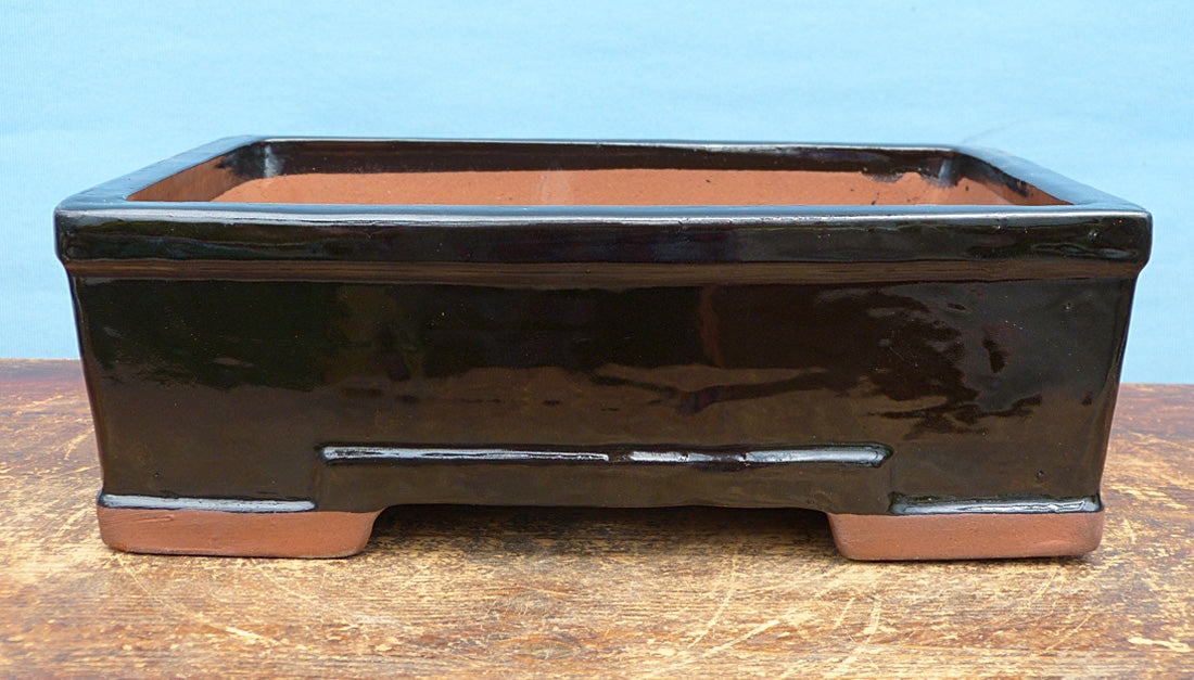 Black Glazed Rectangle Bonsai Pot 