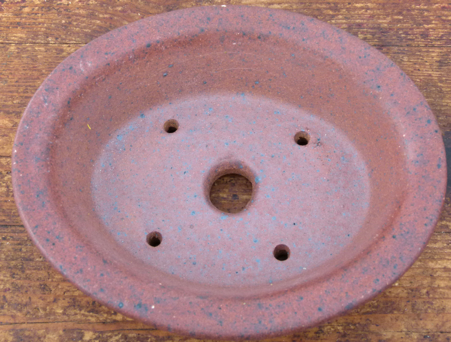 Exhibition Quality Oval Unglazed Bonsai Pot - 5"