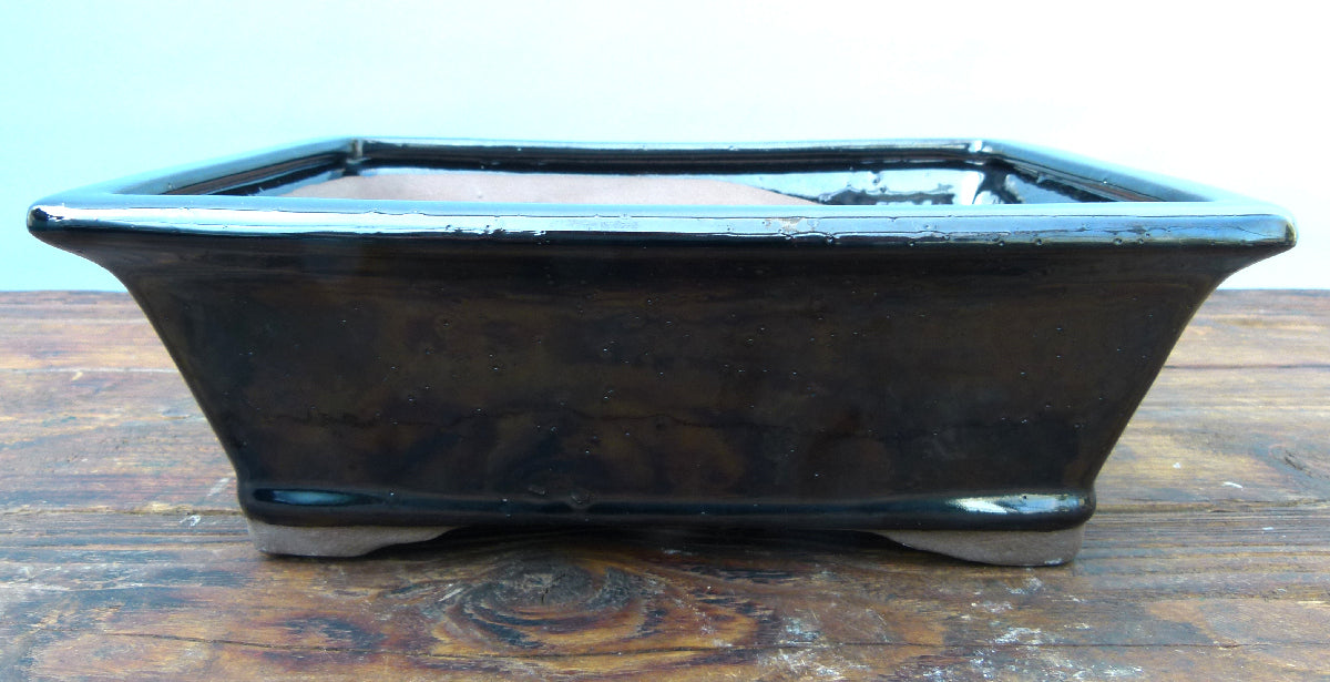 Blue rectangular ceramic bonsai pot on a wooden surface with a light blue background