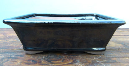Blue rectangular ceramic bonsai pot on a wooden surface with a light blue background