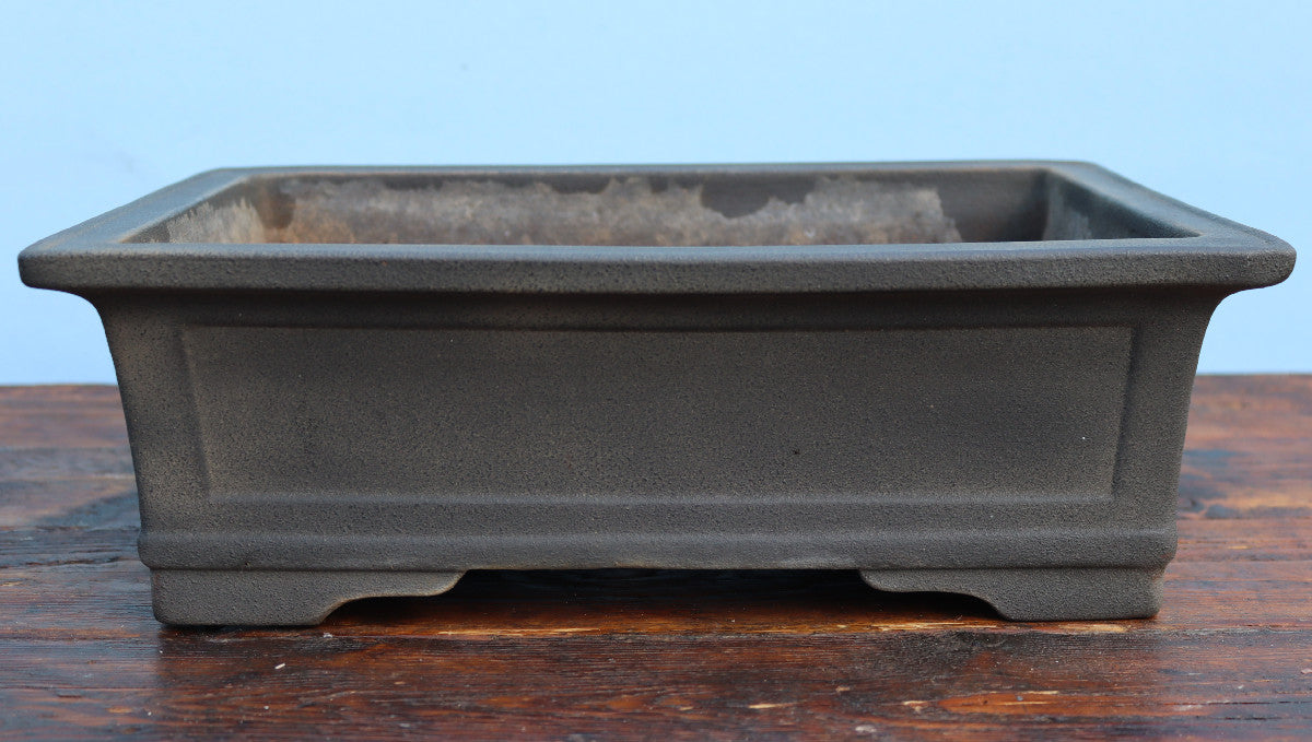 A rectangular dark gray ceramic bonsai pot with a textured glaze, shown on a wooden surface against a light blue background.