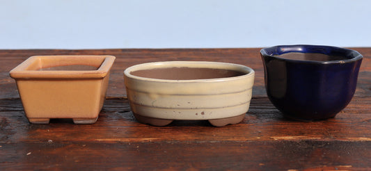 Three ceramic bonsai-style pots in different colors (terracotta, cream, and dark blue) arranged on a rustic wooden surface against a light blue background.