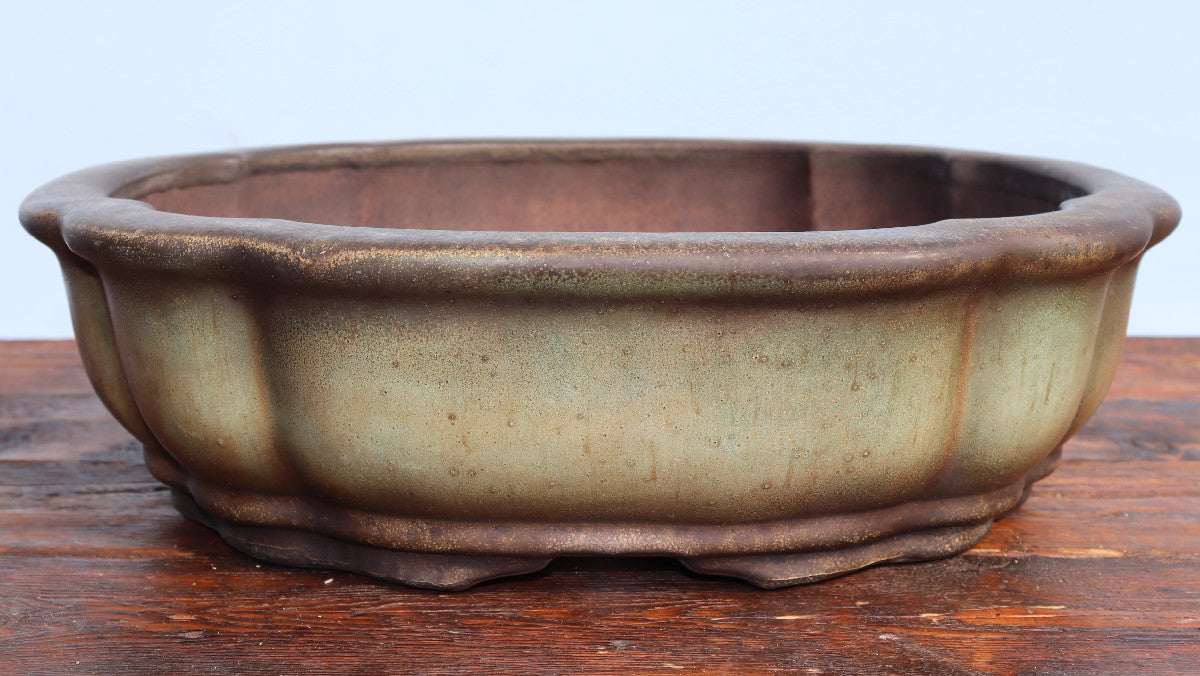 A round ceramic bonsai-style planter with a scalloped rim, featuring a textured glaze that transitions from a warm beige to a dark brown, displayed on a wooden surface against a light blue background.