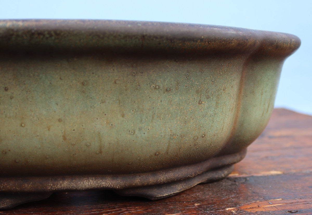 Close-up of a shallow ceramic bonsai pot with a textured, earthy green-brown glaze, resting on a rustic wooden surface against a light blue background.