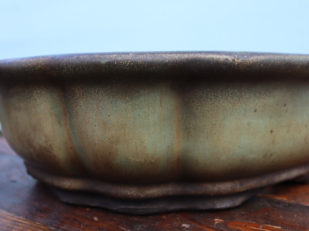A close-up of a ceramic bonsai pot with a textured, metallic bronze and olive-green glaze, resting on a dark wooden surface against a light blue background.