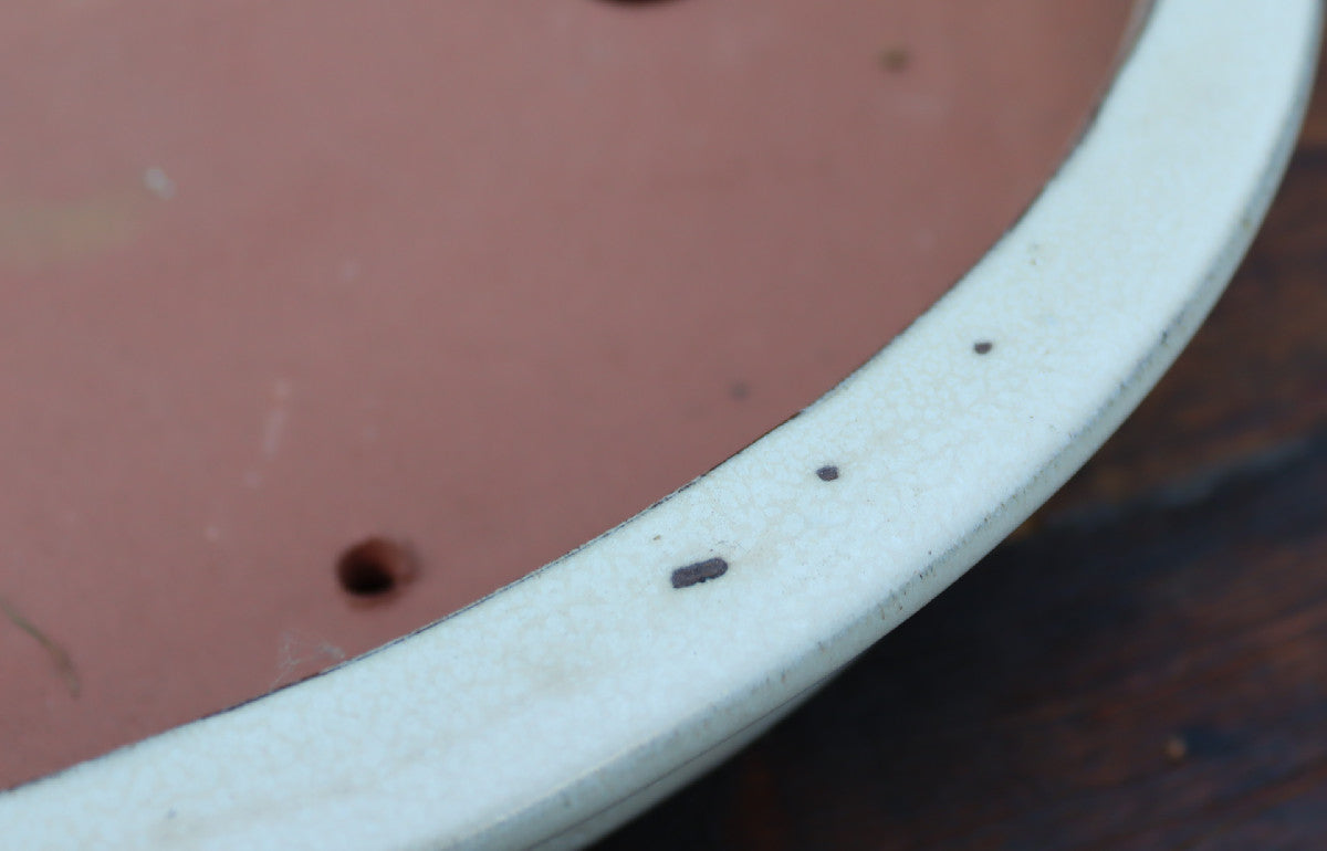 Shallow Oval Glazed Bonsai Pot 16" - SECOND