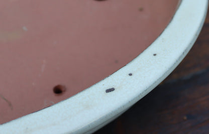 Shallow Oval Glazed Bonsai Pot 16" - SECOND