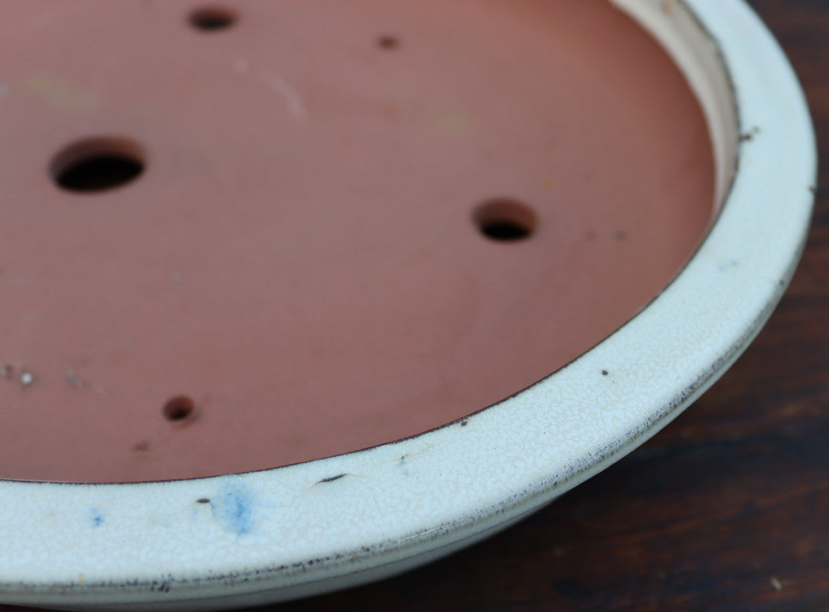 Shallow Oval Glazed Bonsai Pot 16" - SECOND