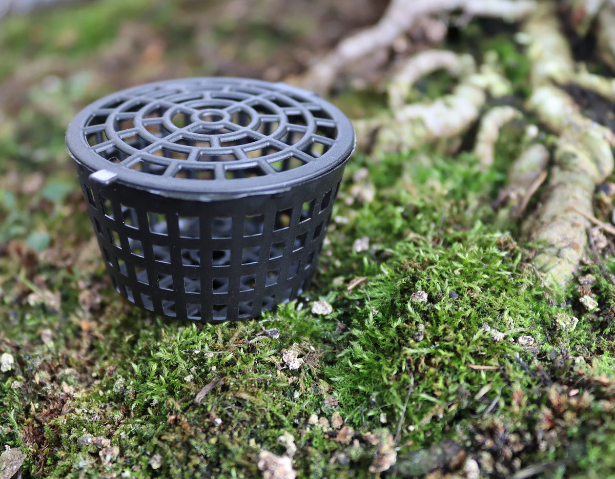 Bonsai Fertilizer Baskets with Lids 