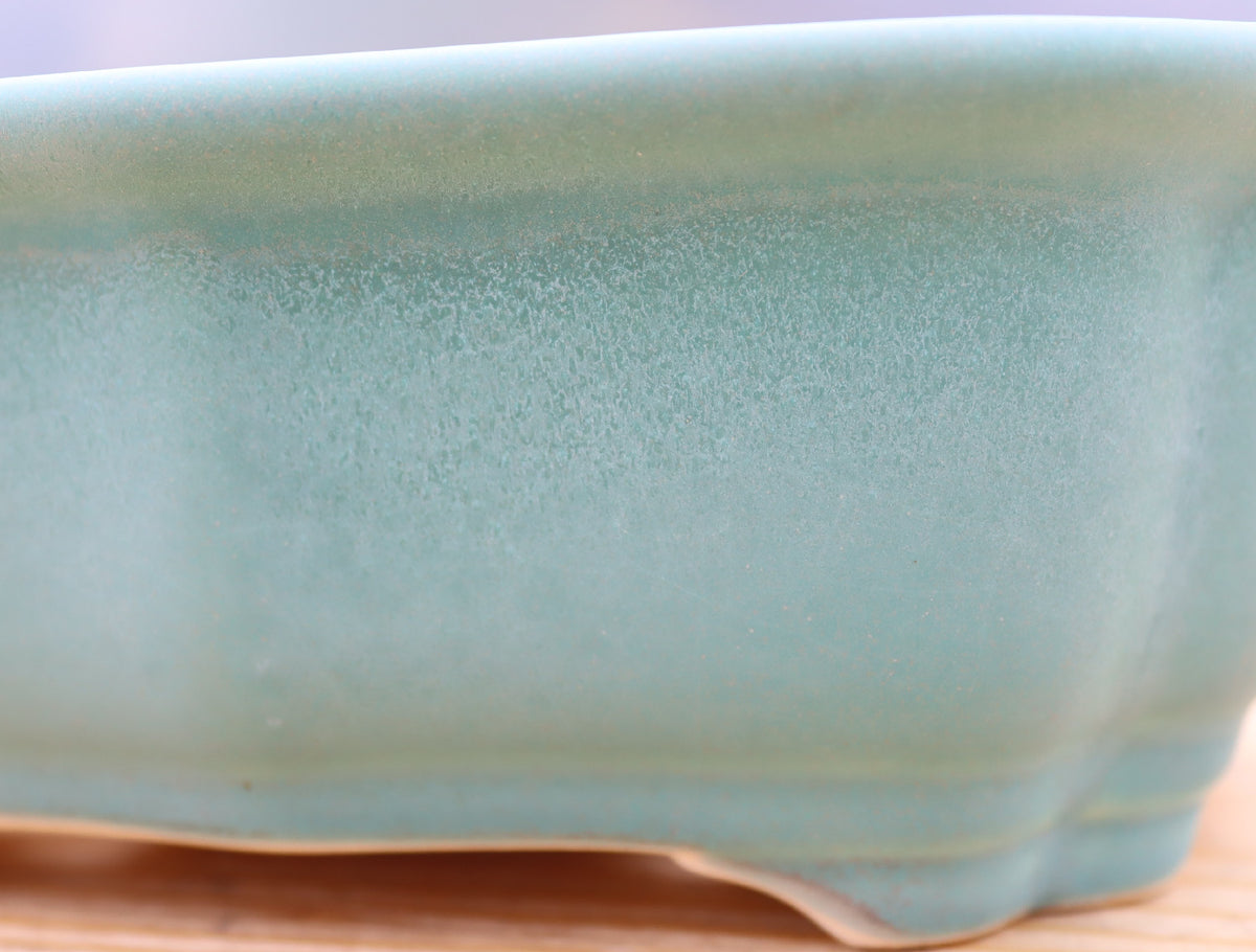 Exhibition Quality Glazed Rectangular Bonsai Pot - 8.5"
