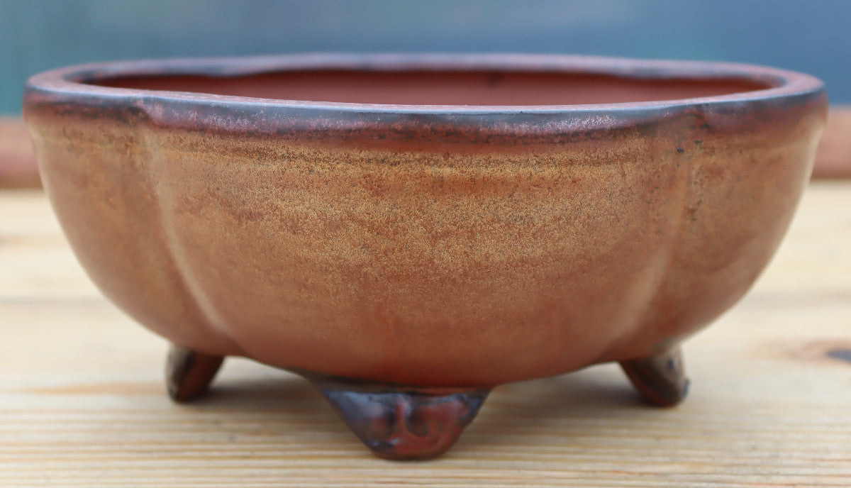 8" (20cm) Oval Copper Glazed Bonsai Plant Pot | Slip Cast Ceramic