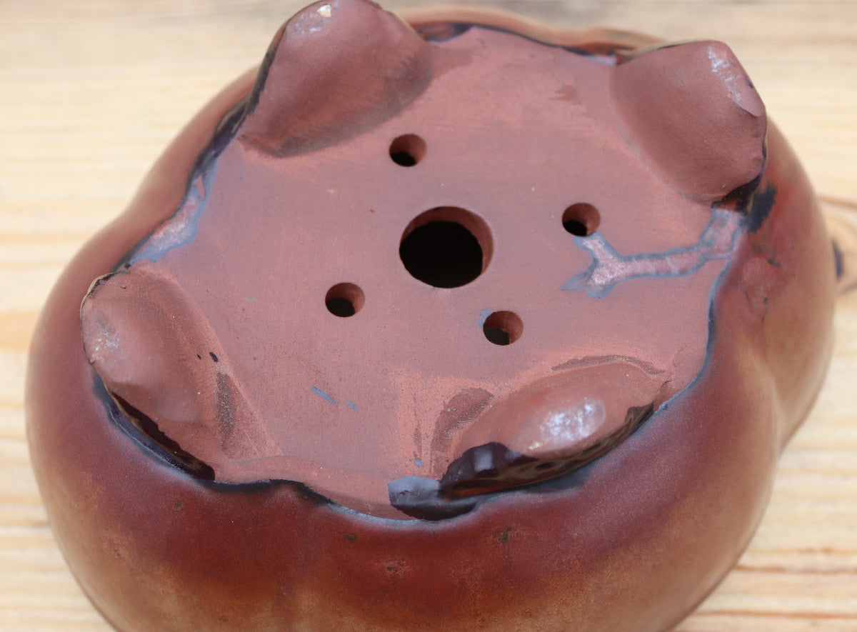 8" (20cm) Oval Copper Glazed Bonsai Plant Pot | Slip Cast Ceramic