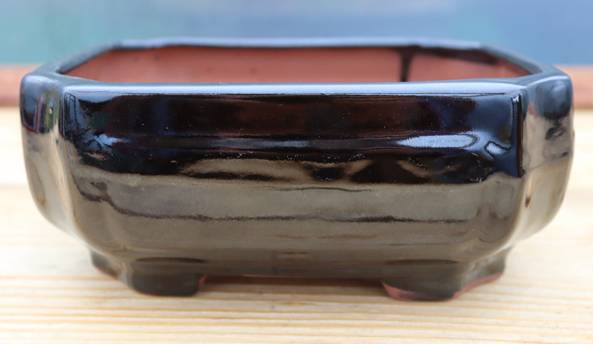 8.3" (21cm) Rectangular Black Glazed Bonsai Plant Pot | Slip Cast Ceramic