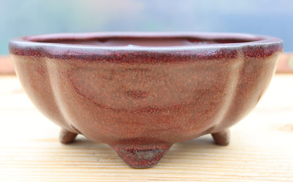 8.3" (21cm) Oval Red Glazed Bonsai Plant Pot | Slip Cast Ceramic