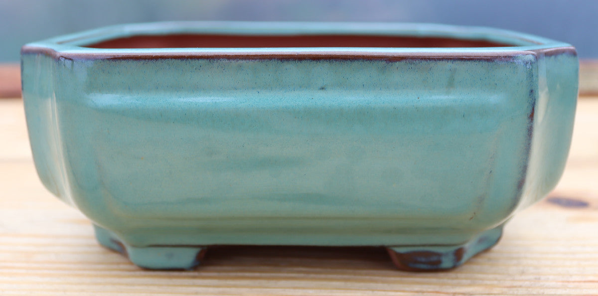 8.3" (21cm) Rectangular Teal Green Glazed Bonsai Plant Pot | Slip Cast Ceramic