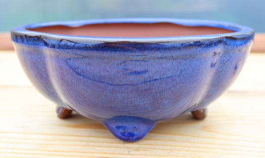 8.3" (21cm) Oval Blue Glazed Bonsai Plant Pot | Slip Cast Ceramic
