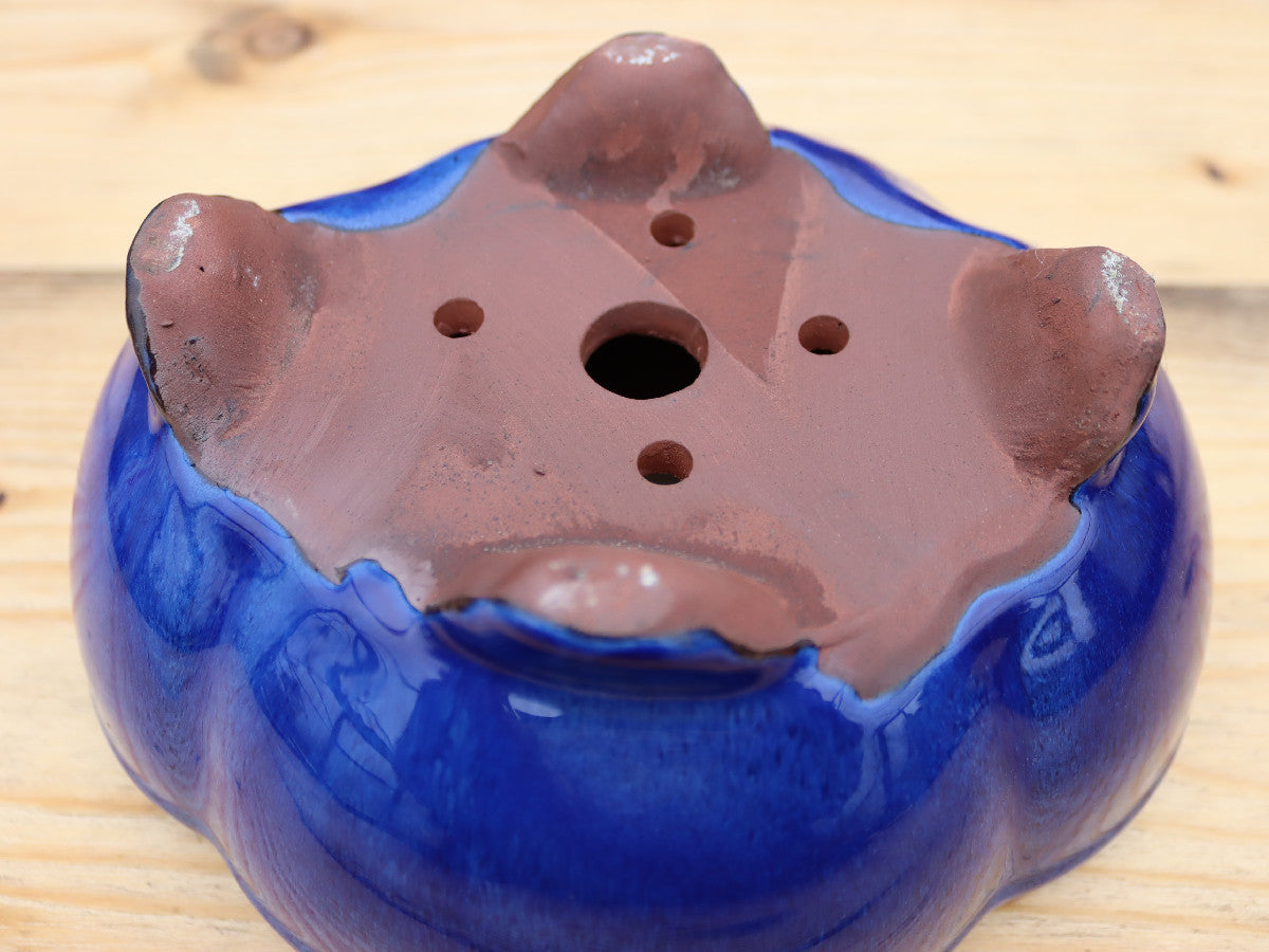 8.3" (21cm) Oval Blue Glazed Bonsai Plant Pot | Slip Cast Ceramic