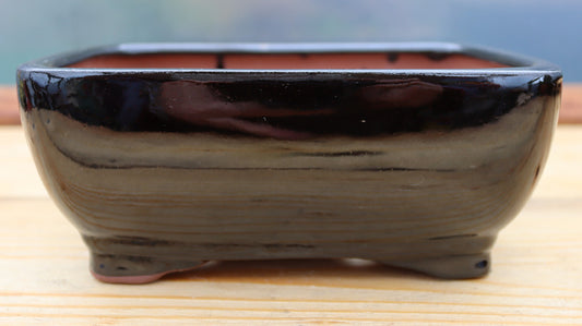 8" (20cm) Rectangular Black Glazed Bonsai Plant Pot | Slip Cast Ceramic