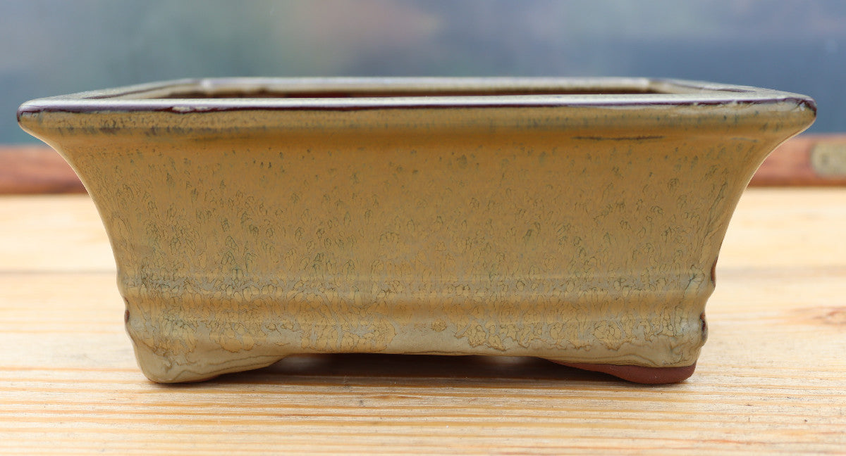 Rectangular Olive Glazed Bonsai Plant Pot | Slip Cast Ceramic