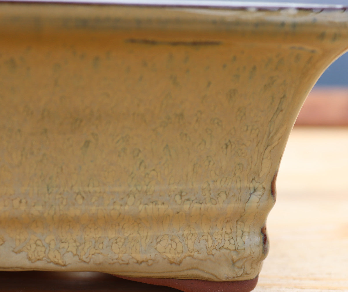 Rectangular Olive Glazed Bonsai Plant Pot | Slip Cast Ceramic