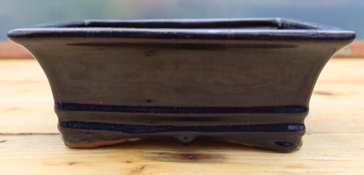 8" (20cm) Rectangular Navy Blue Glazed Bonsai Plant Pot | Slip Cast Ceramic