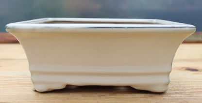 8" (20cm) Rectangular Cream Glazed Bonsai Plant Pot | Slip Cast Ceramic
