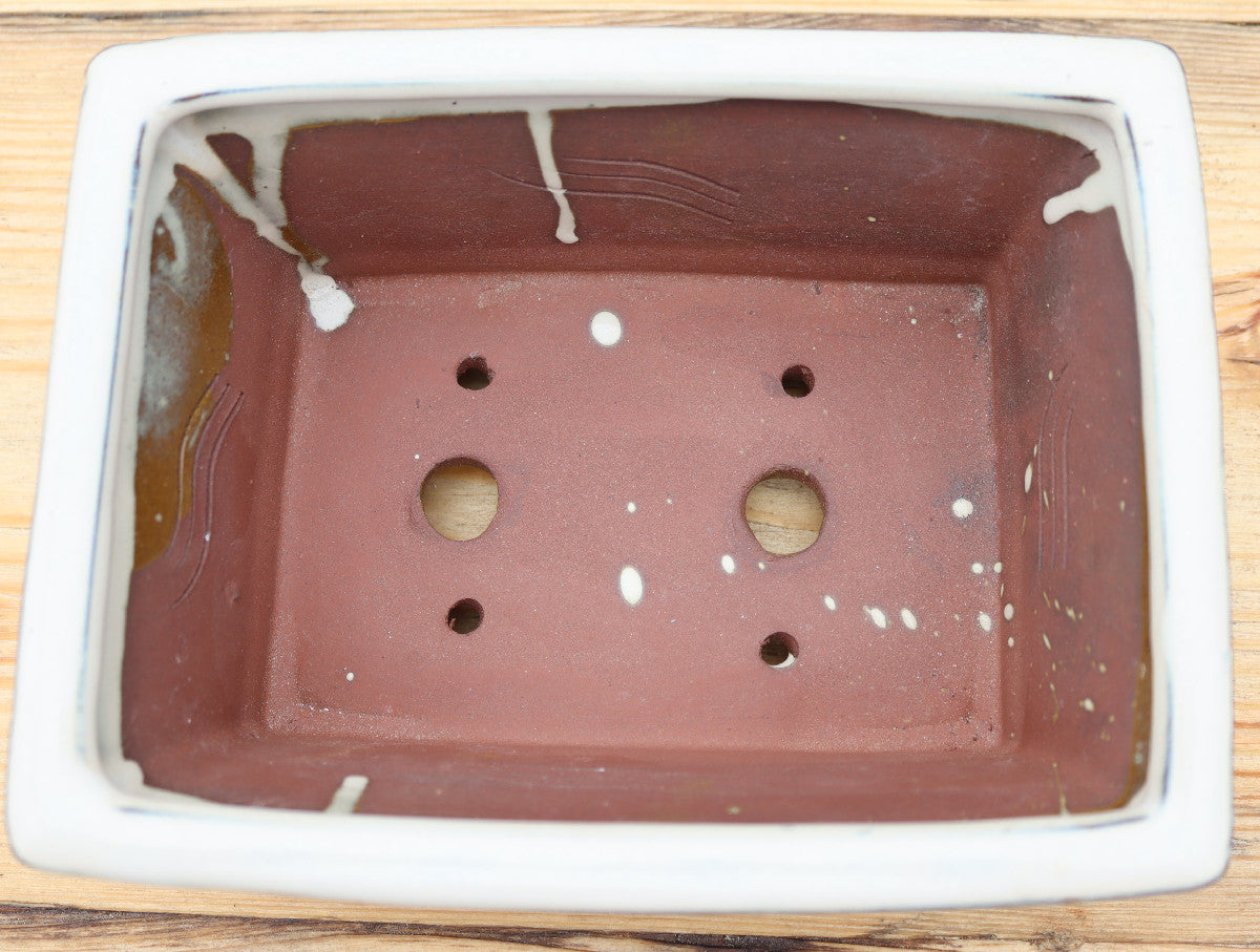8" (20cm) Rectangular Cream Glazed Bonsai Plant Pot | Slip Cast Ceramic