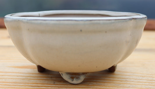 6.3" (16cm) Oval Cream Glazed Bonsai Plant Pot | Slip Cast Ceramic