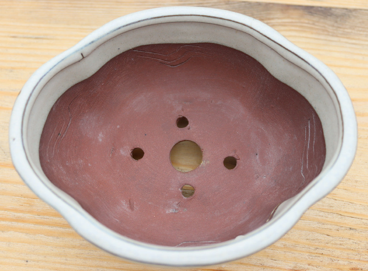 6.3" (16cm) Oval Cream Glazed Bonsai Plant Pot | Slip Cast Ceramic