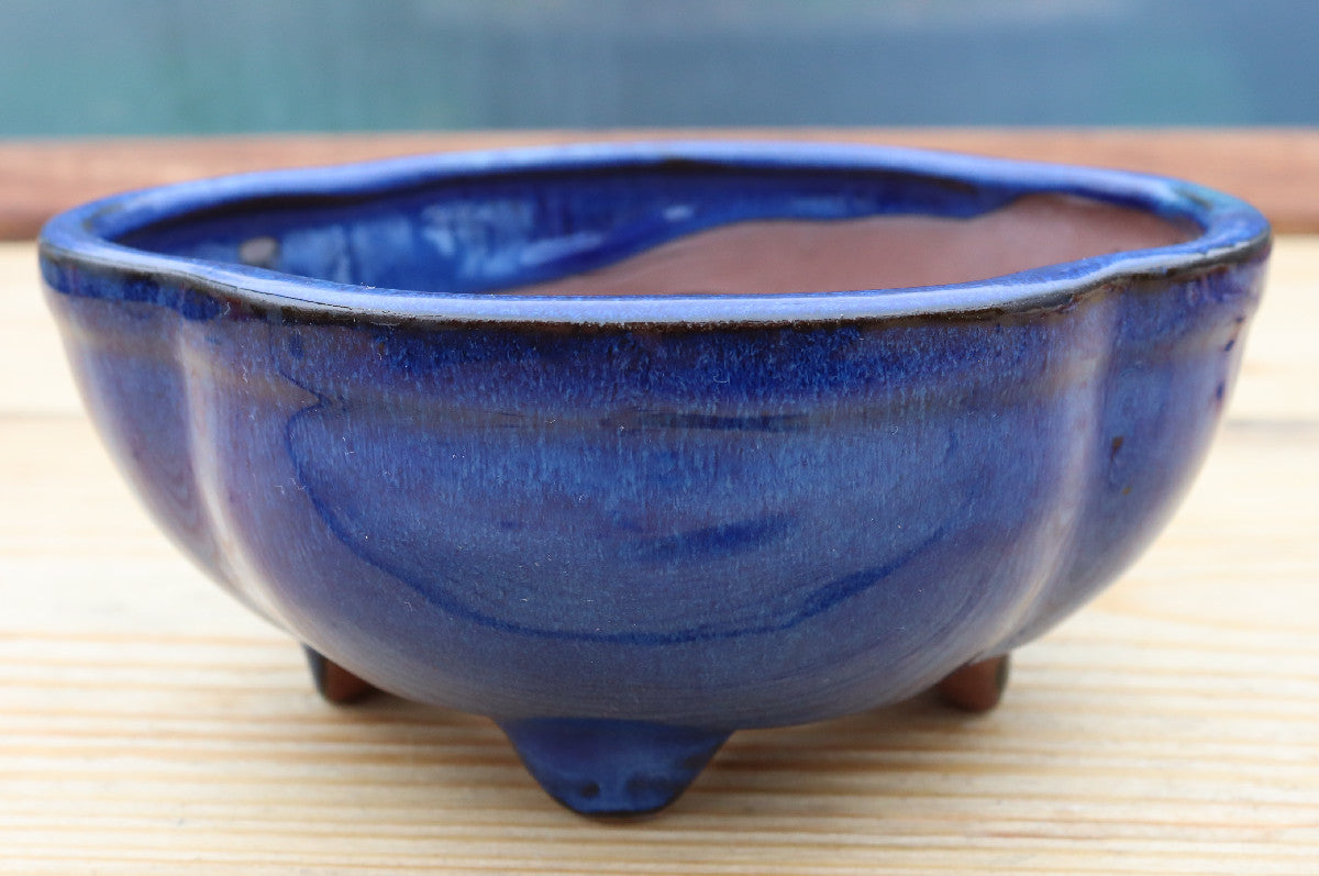 6.3" (16cm) Oval Blue Glazed Bonsai Plant Pot | Slip Cast Ceramic