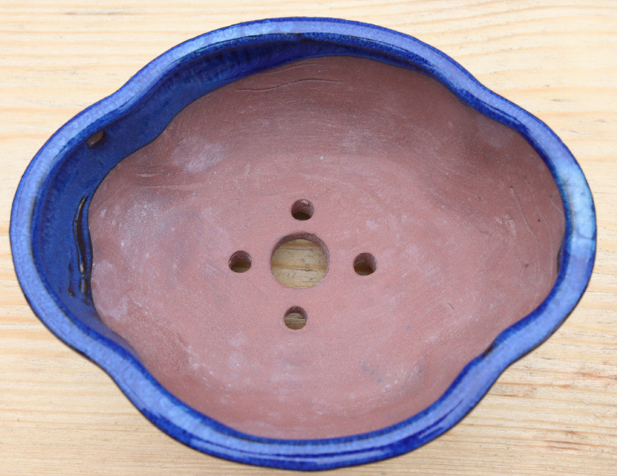 6.3" (16cm) Oval Blue Glazed Bonsai Plant Pot | Slip Cast Ceramic
