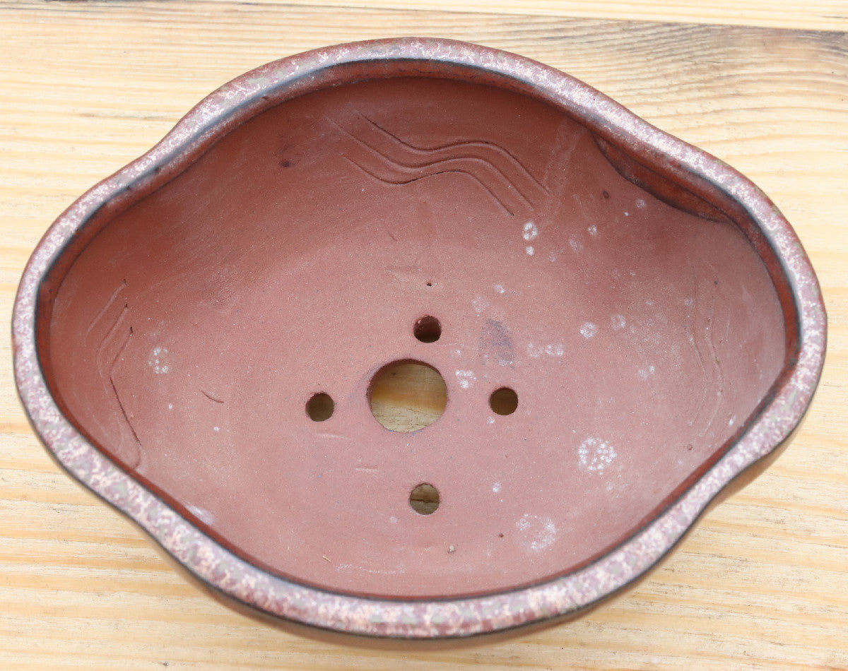6.3" (16cm) Oval Copper Glazed Bonsai Plant Pot | Slip Cast Ceramic