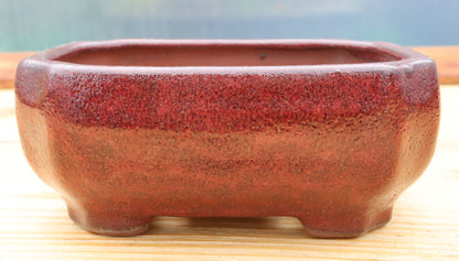 6.5" (16.5cm) Rectangular Red Glazed Bonsai Plant Pot | Slip Cast Ceramic