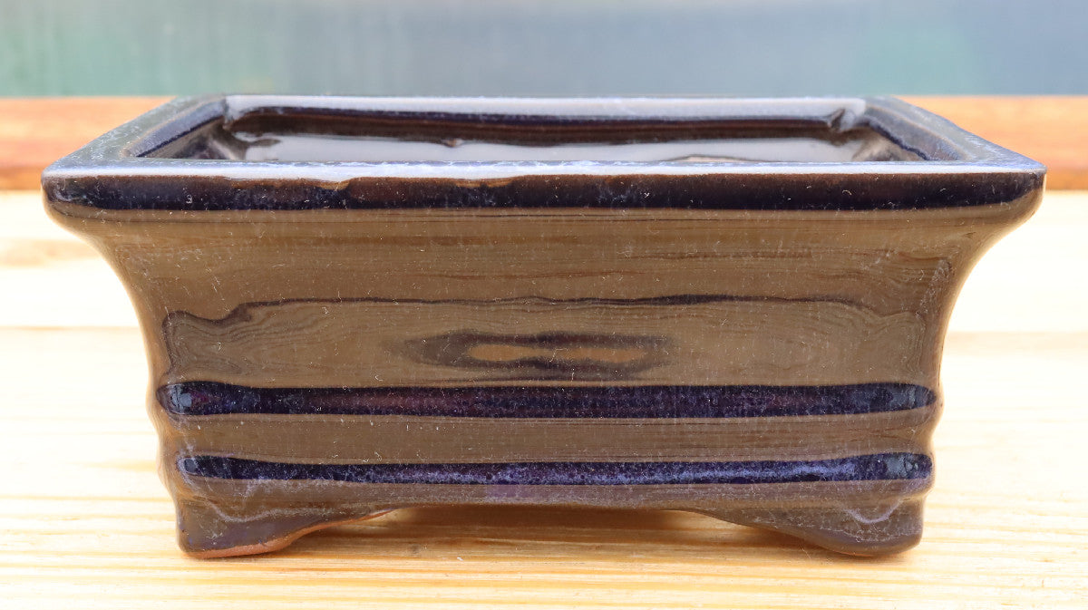 6.3" (16cm) Rectangular Navy Blue Glazed Bonsai Plant Pot | Slip Cast Ceramic