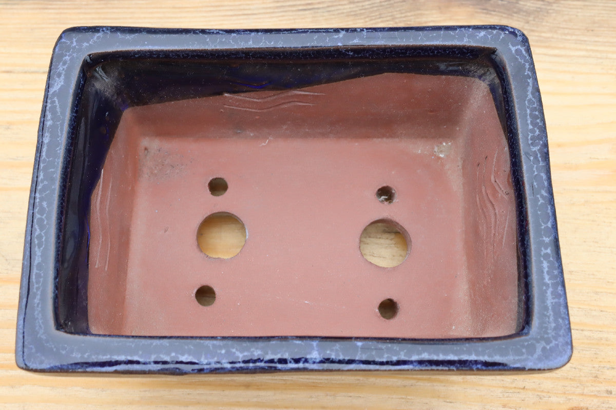 6.3" (16cm) Rectangular Navy Blue Glazed Bonsai Plant Pot | Slip Cast Ceramic