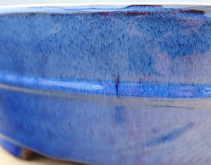10.2" (26cm) Oval Blue Glazed Bonsai Plant Pot | Slip Cast Ceramic