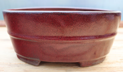 10.2" (26cm) Oval Red Glazed Bonsai Plant Pot | Slip Cast Ceramic