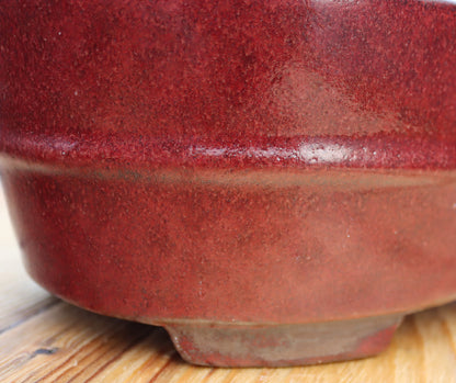 10.2" (26cm) Oval Red Glazed Bonsai Plant Pot | Slip Cast Ceramic